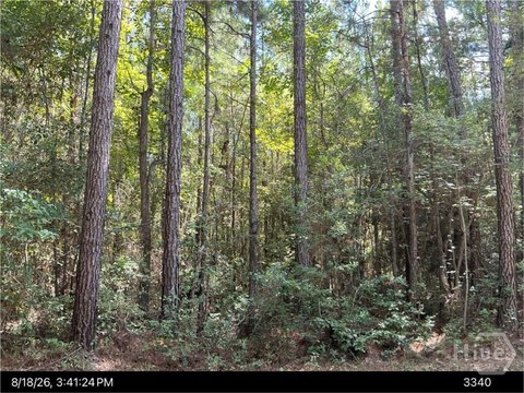 Land, Bloomingdale, GA