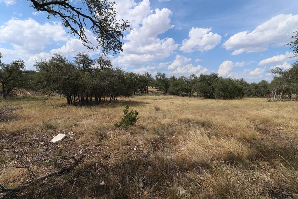 Residential Land in Harper, TX
