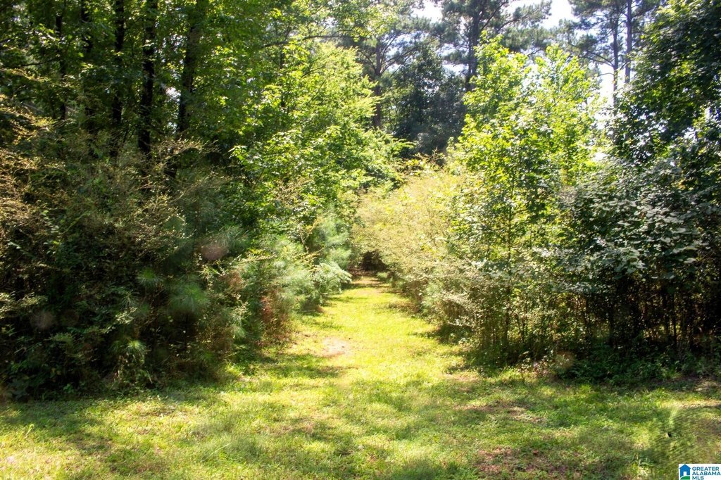 Picture 7