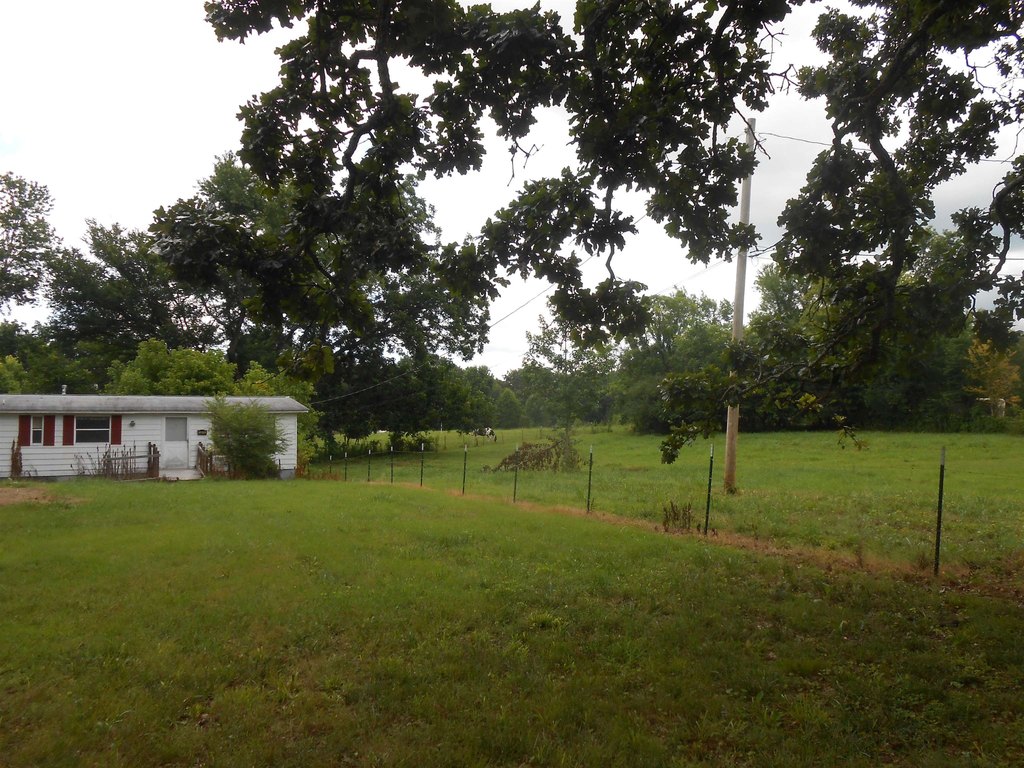 Picture 14