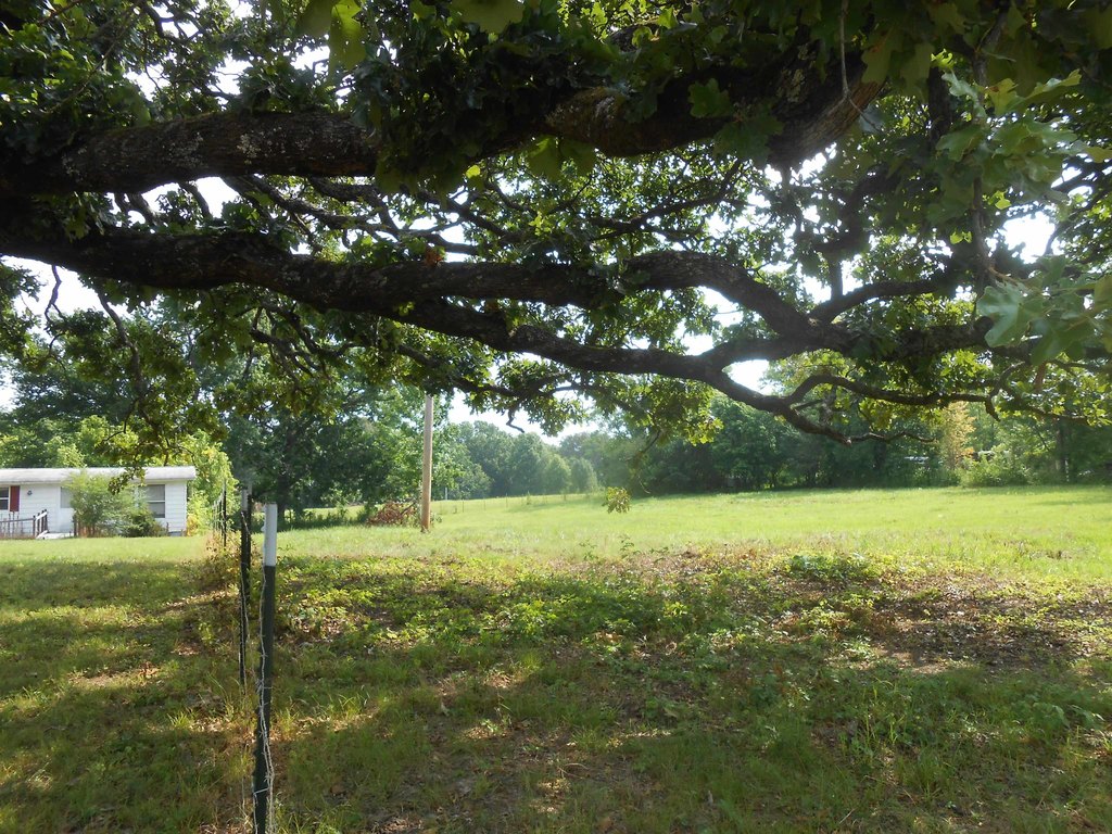 Picture 8