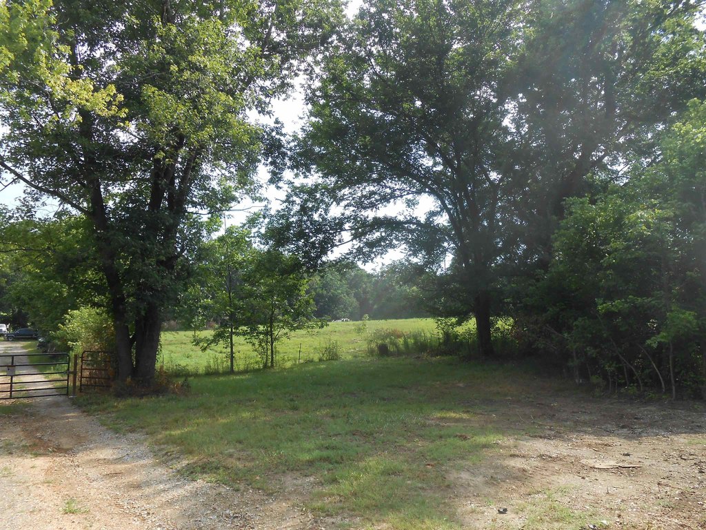 Picture 6
