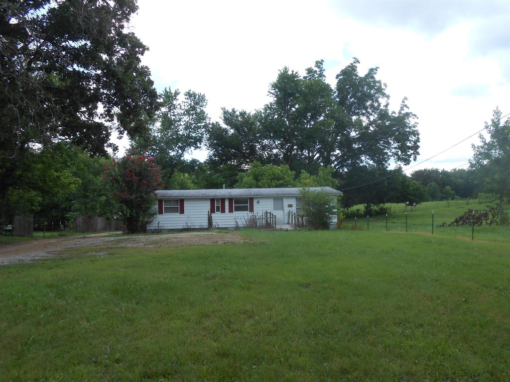 Picture 11