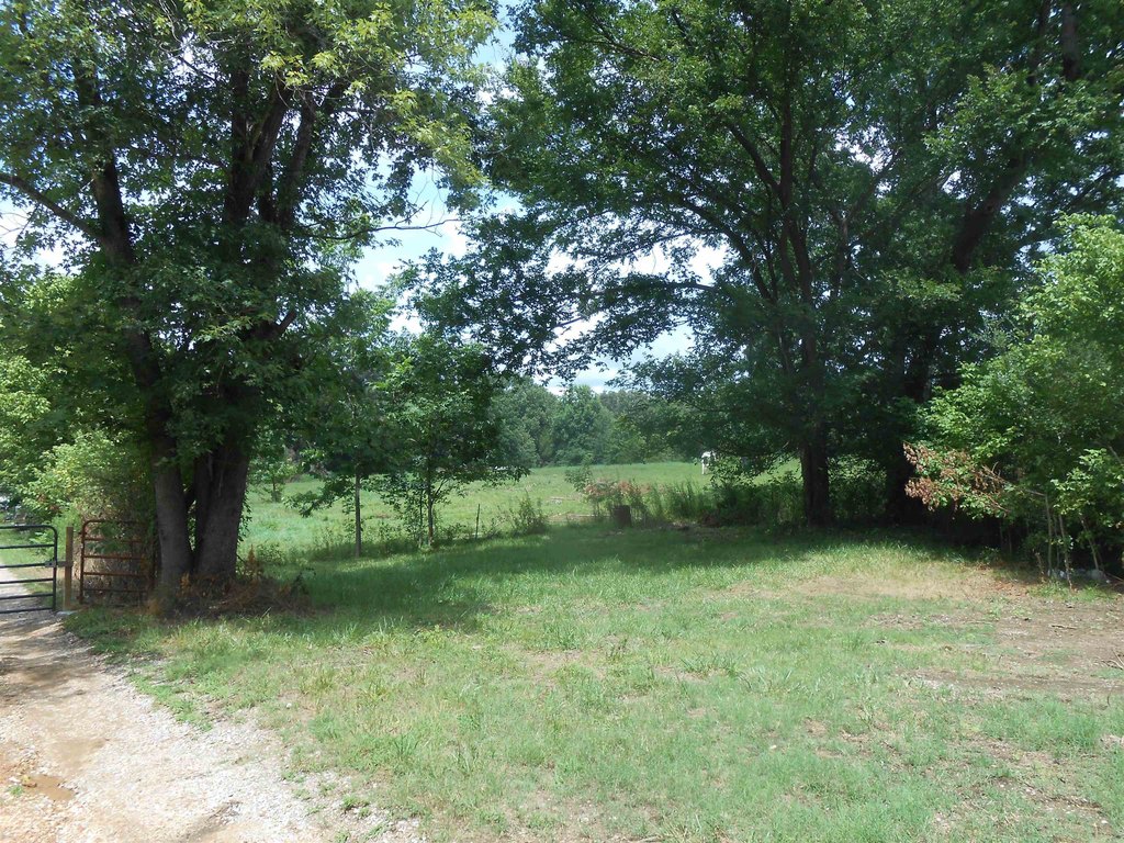 Picture 17