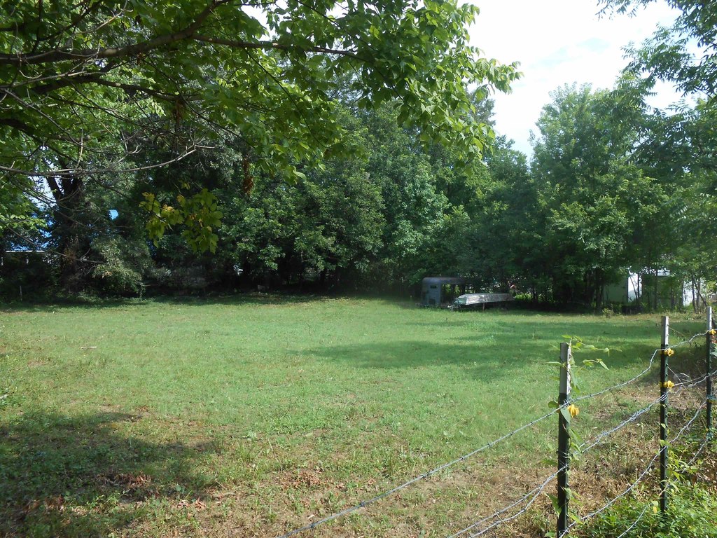 Picture 4