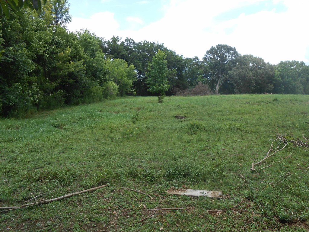 Picture 13
