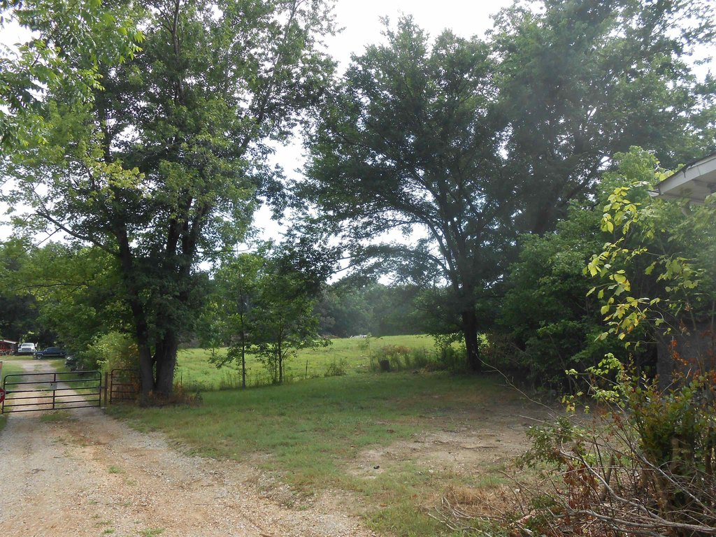 Picture 5