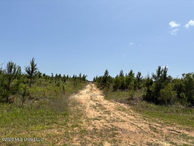 Vancleave Land for Sale
