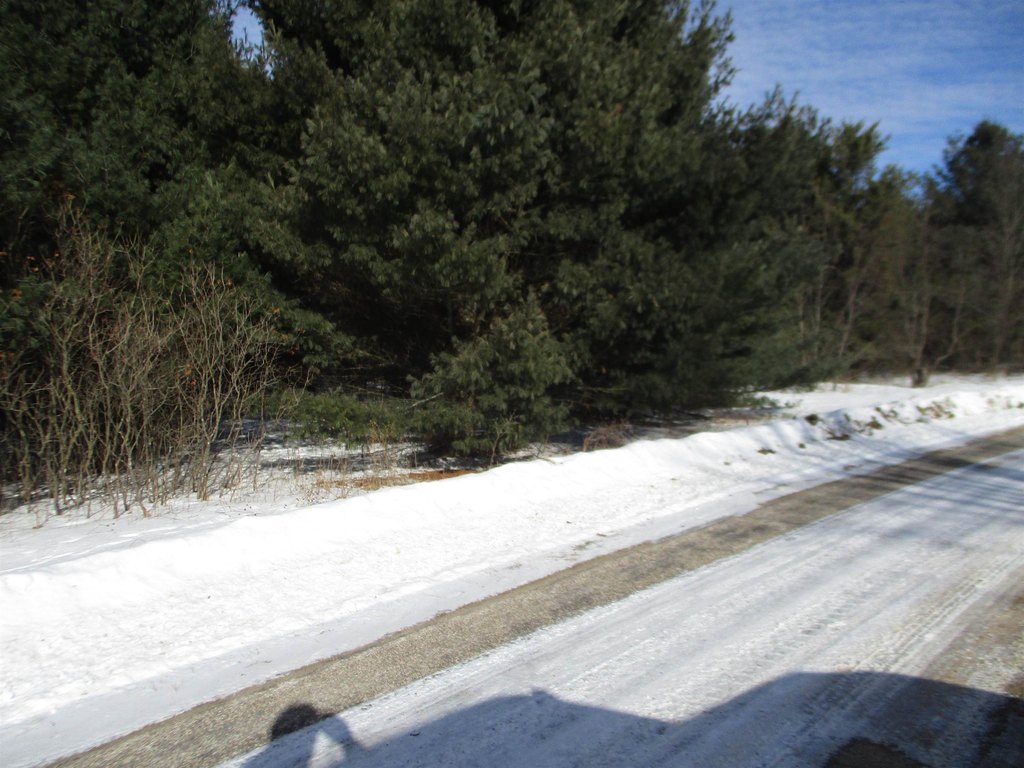 Picture 3