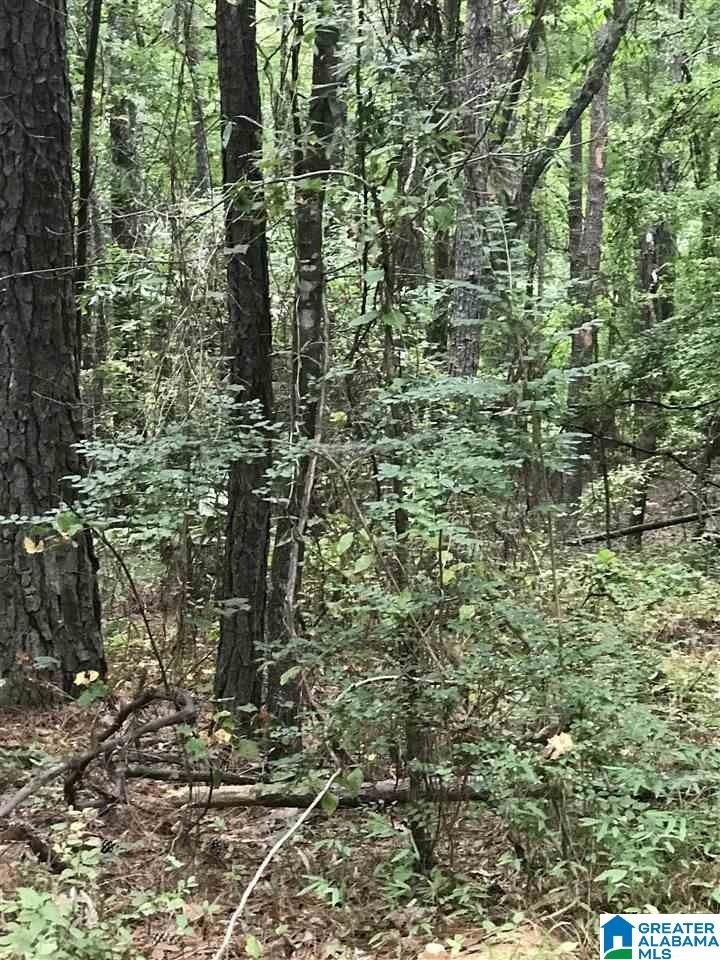 Land For Sale - Alpine
