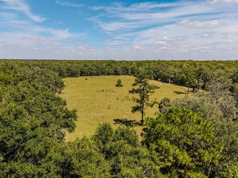 Spacious Acreage Near Suwannee River