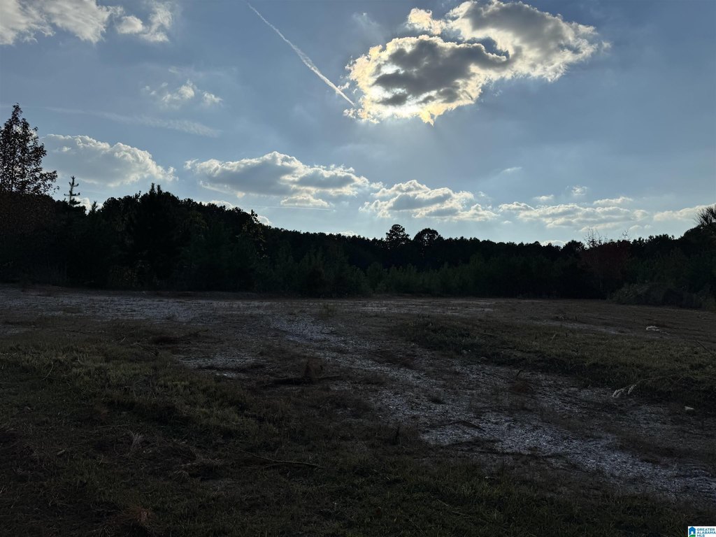 Picture 22