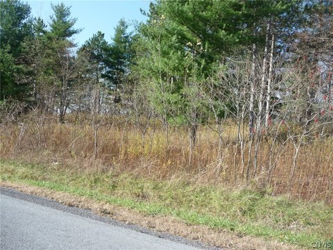 Level Lot in Adams, NY