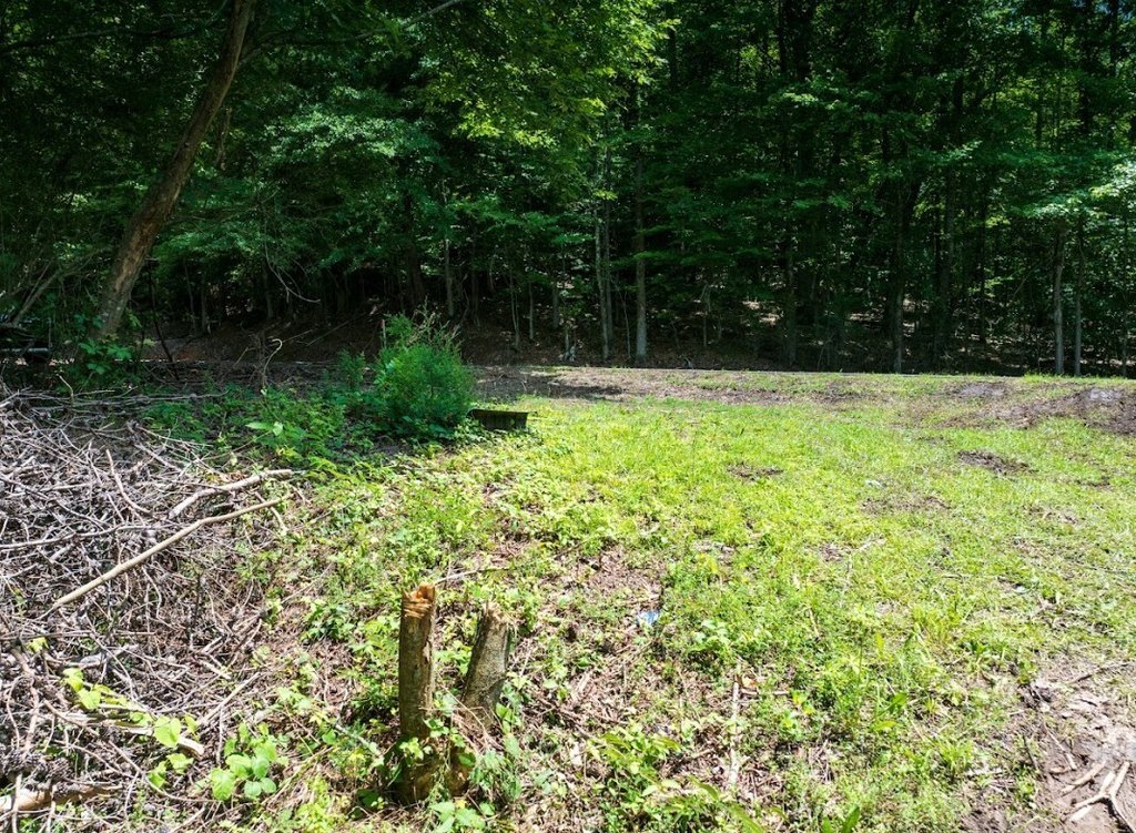 Picture 4