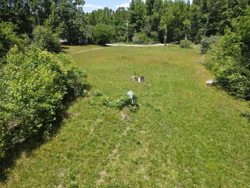 Picture 6