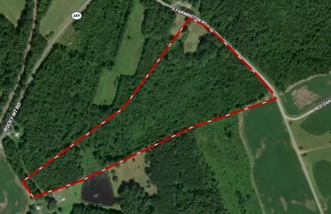 Skipwith, VA 17.80-Acre Land