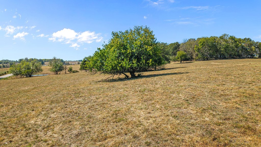 Picture 15