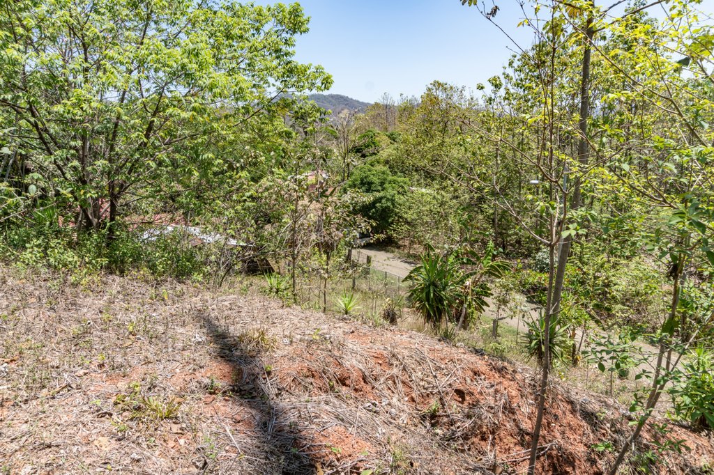 Picture 18