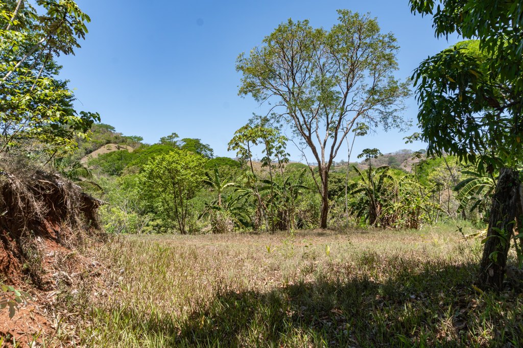 Picture 9