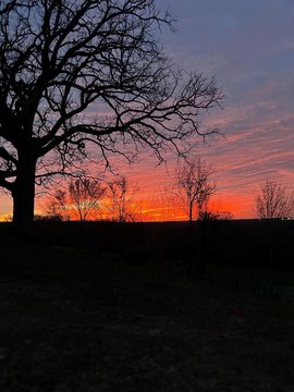 Residential Lot in Gated Community