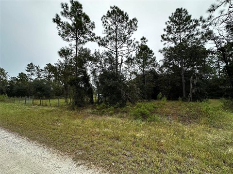Land, DUNNELLON, FL