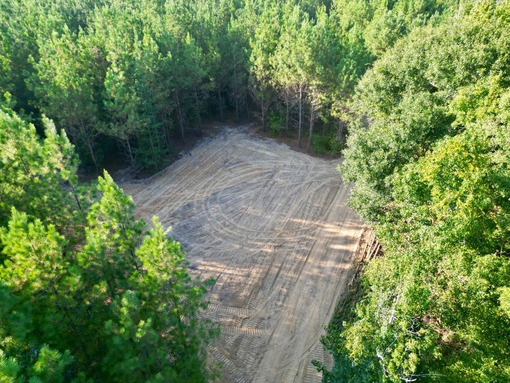 Picture 4