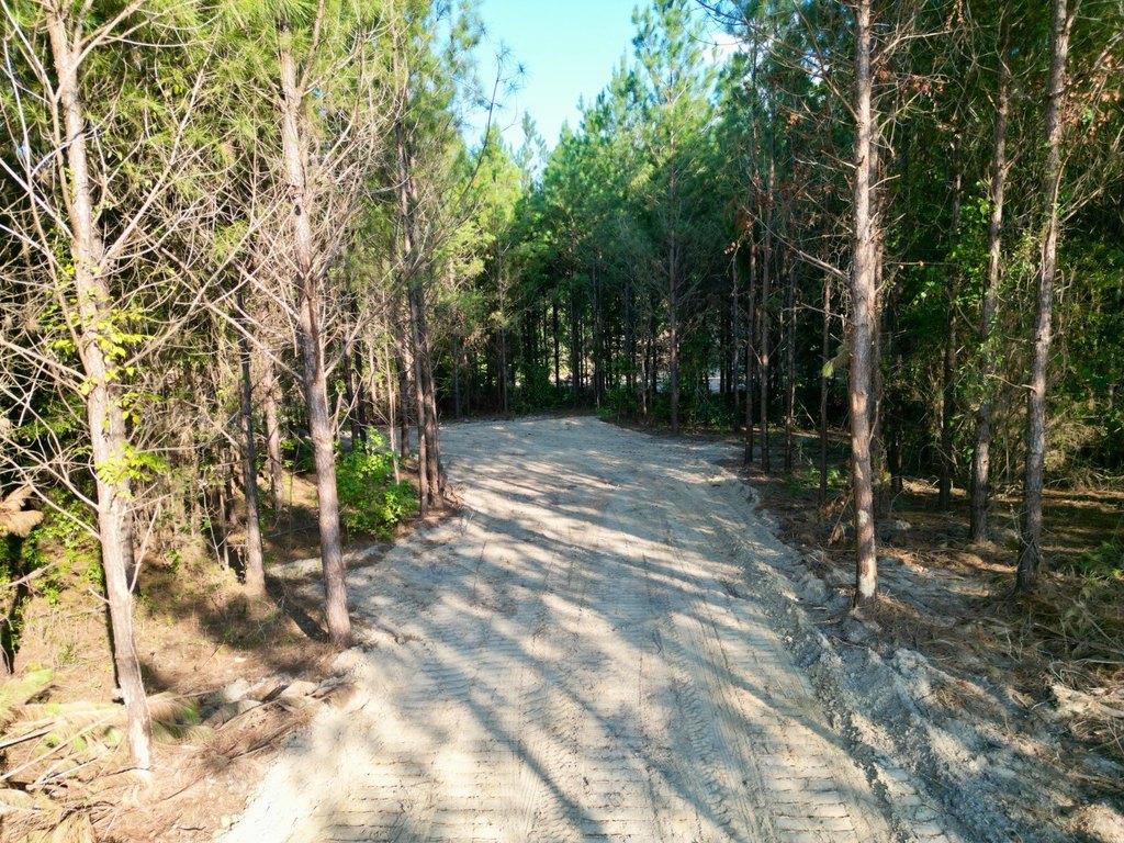 Picture 5