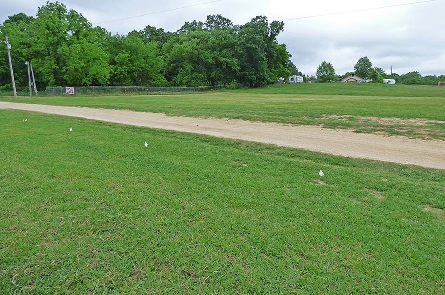 Picture 8