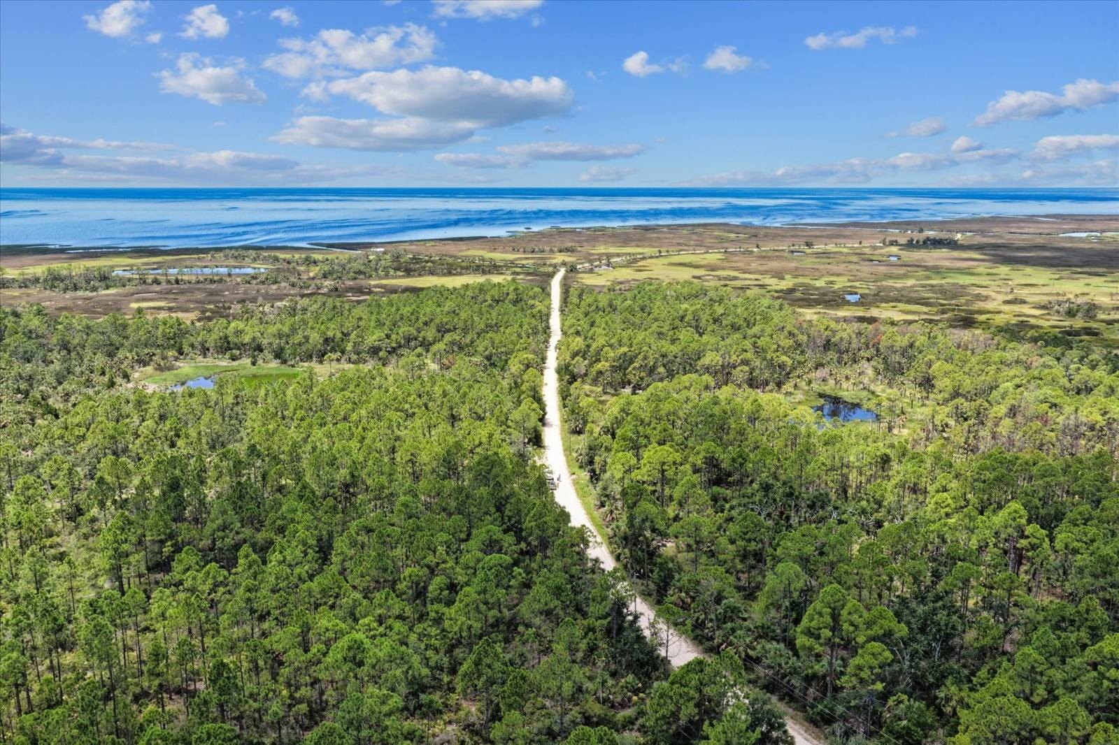 81.58 Acres Near Yates Creek