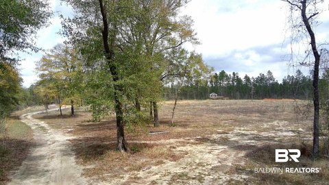 Acreage Hunting Land with Pole Barn