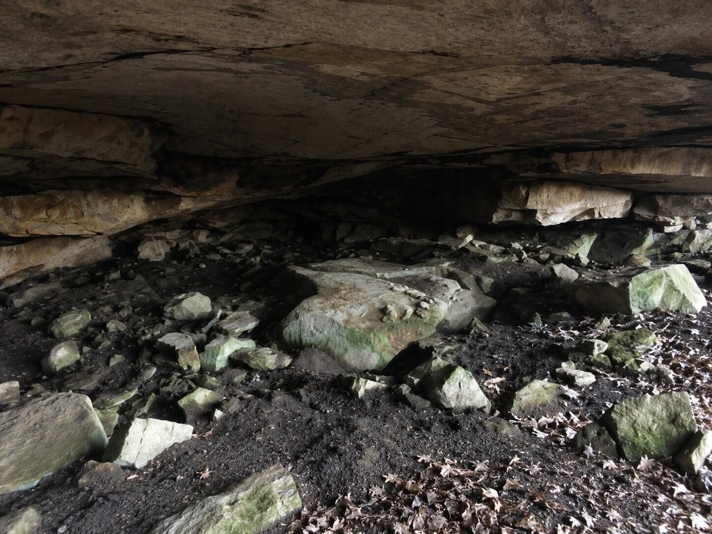 Picture 10