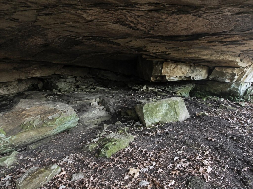 Picture 9
