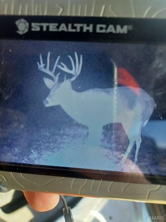 Picture 2