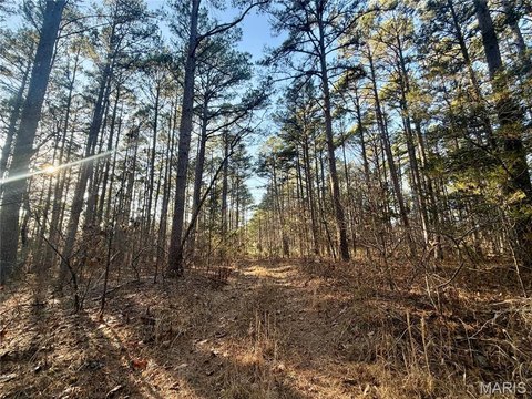 LAND - Salem, MO