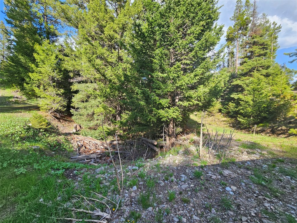Picture 9