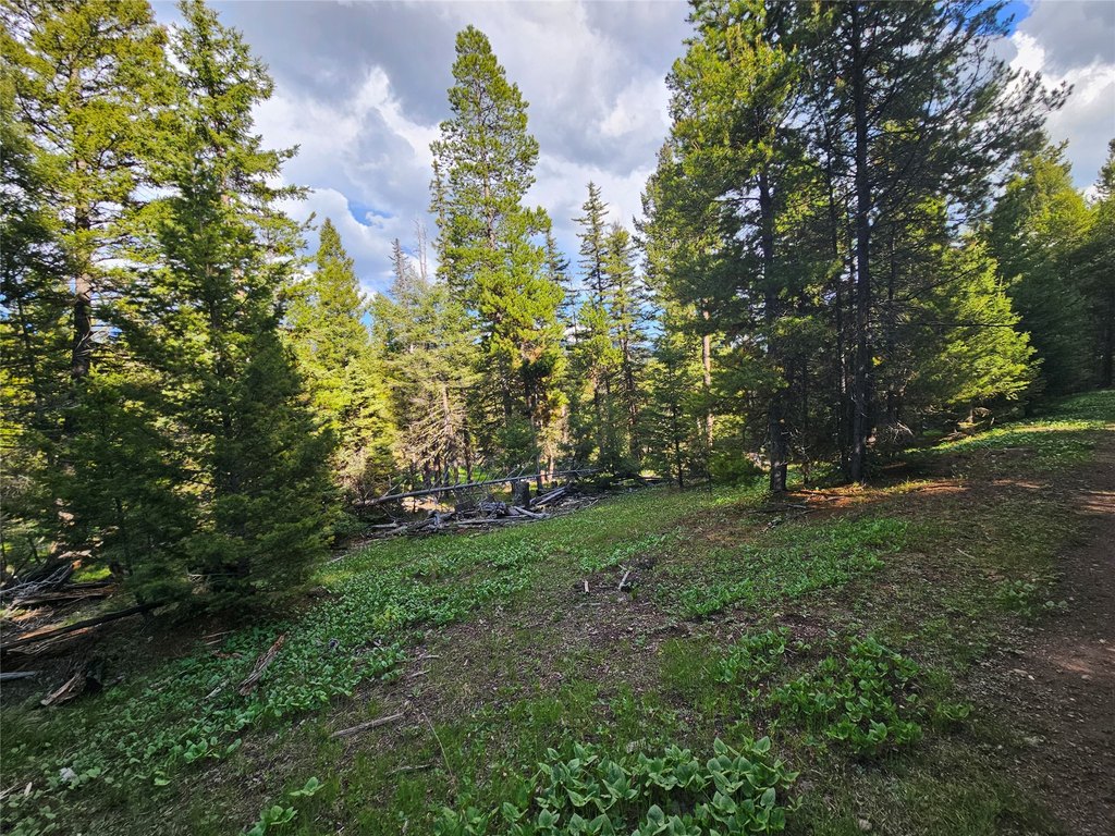 Picture 18