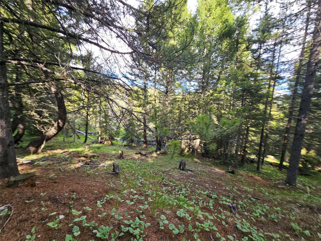 Picture 17