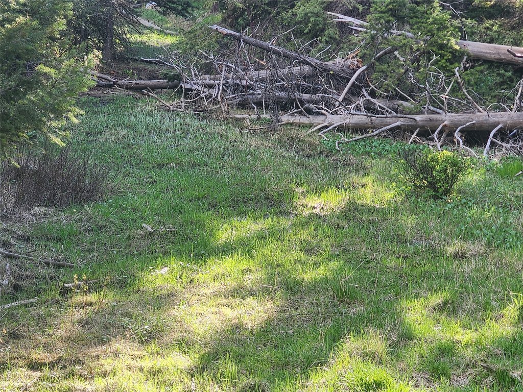 Picture 12