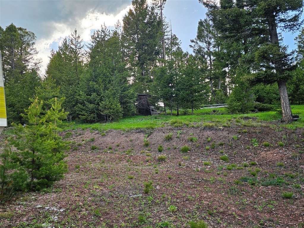 Picture 31