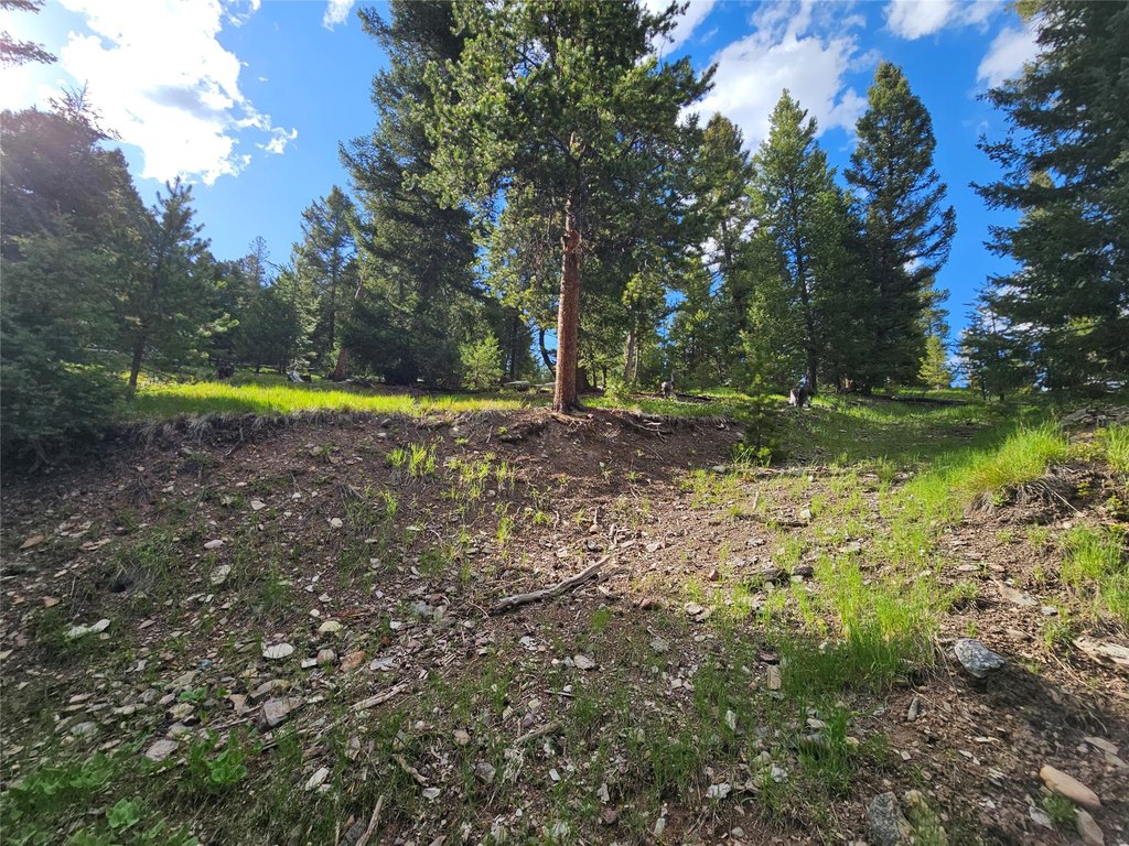 Picture 22
