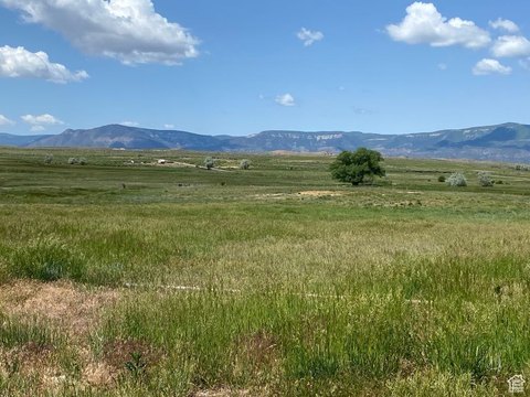 20 Acres Pasture and Farmland