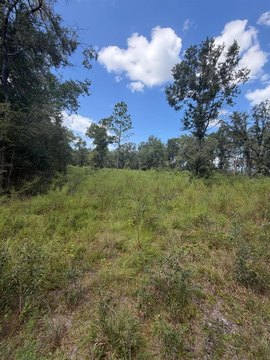 Land, FORT WHITE, FL