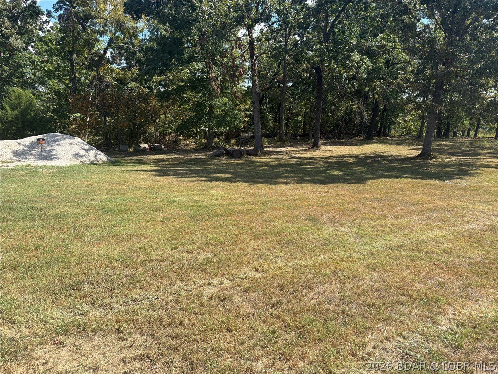 Picture 6