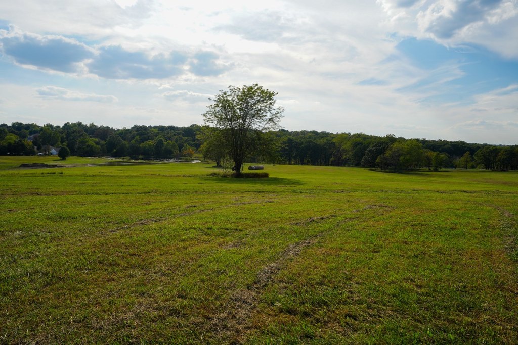 Picture 43