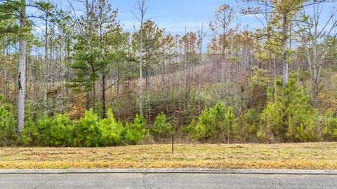 Ocoee Ridge 1.24-Acre Lot