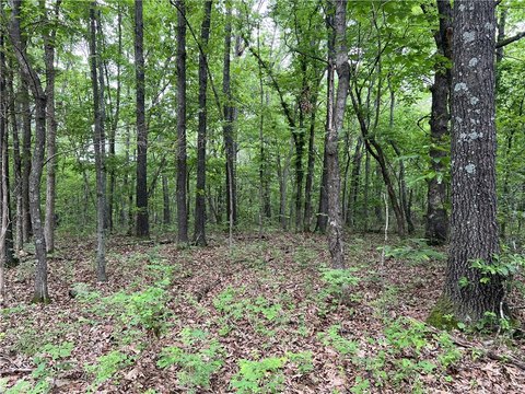 Wooded Land Parcel, Harrison, AR