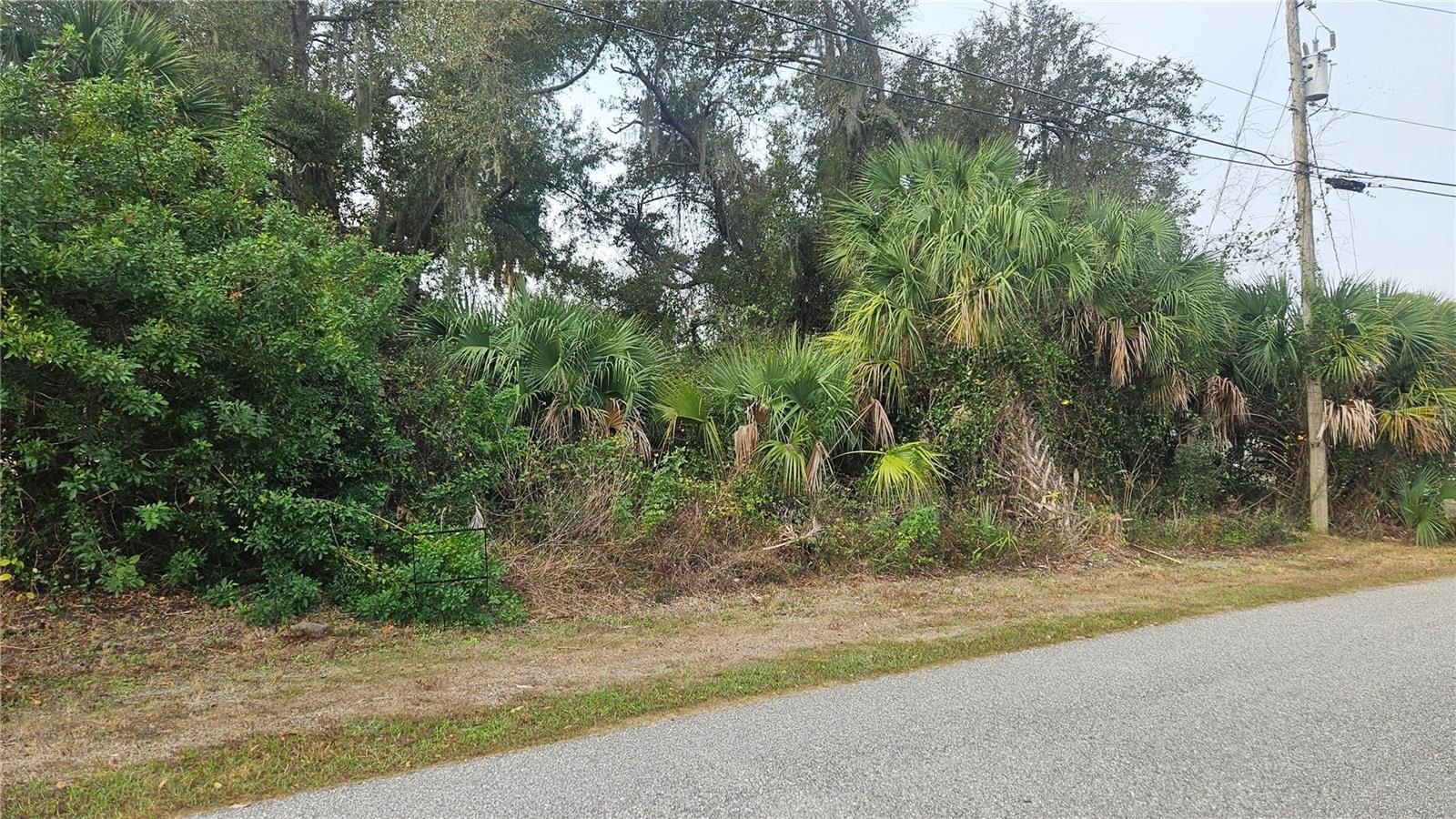 Vacant Lot Near Amenities