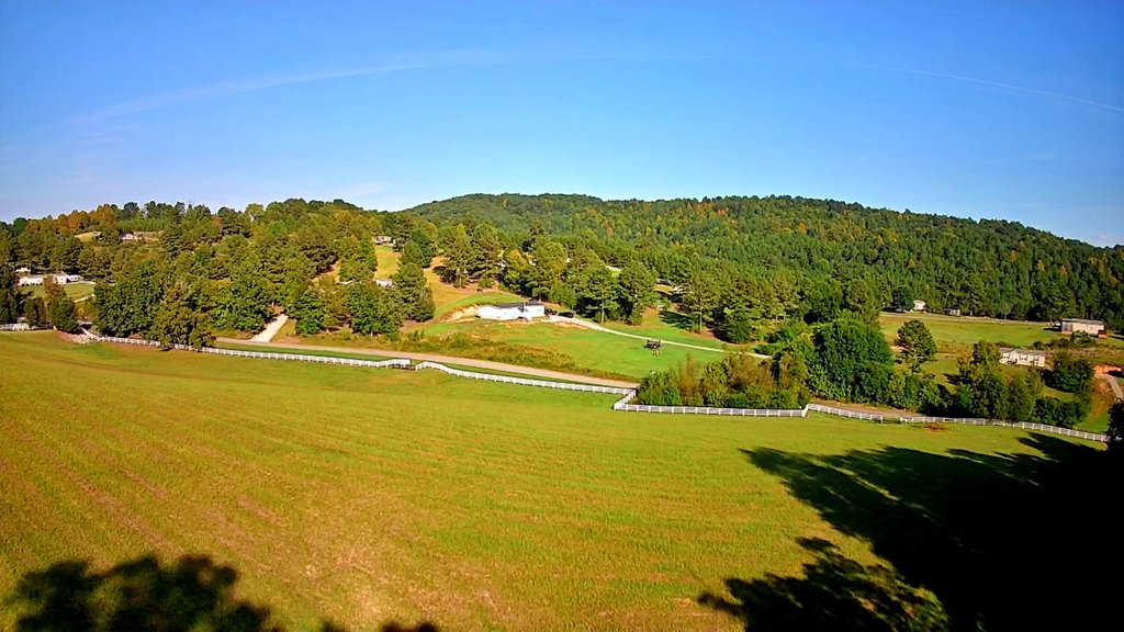 Picture 9