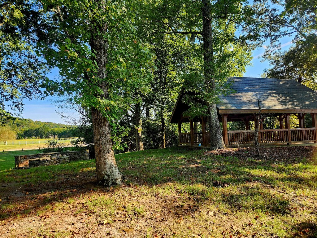 Picture 25