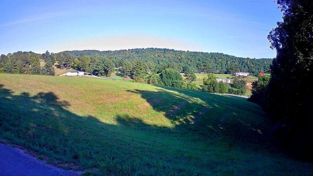 Picture 16